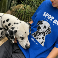 SPOT ON CLUB — Dalmatian